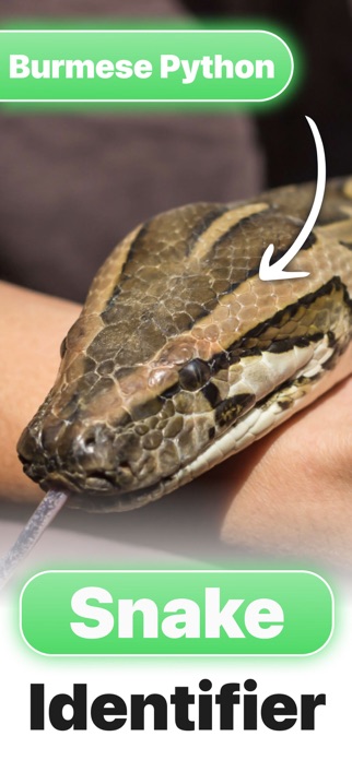 Snake Identifier: Serpenta Screenshot 1 of 3