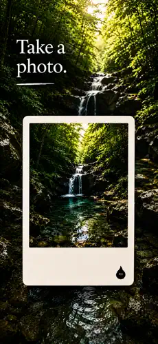 230x499bb.webp