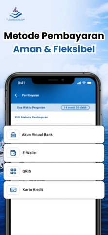 DLU Ferry screenshot