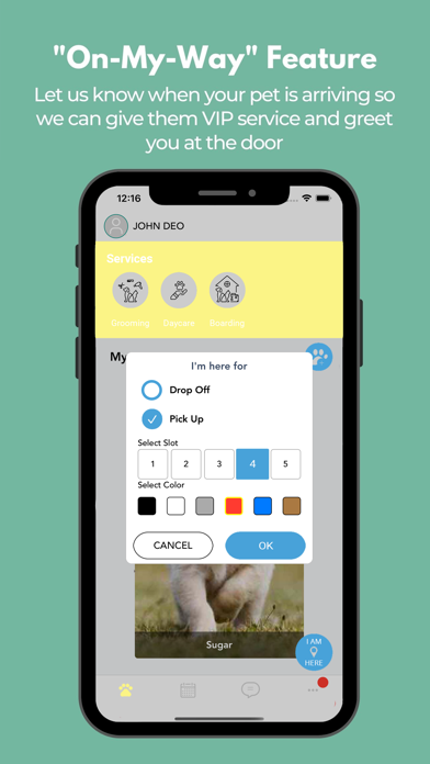 Blue Moon Pet Boutique Screenshot