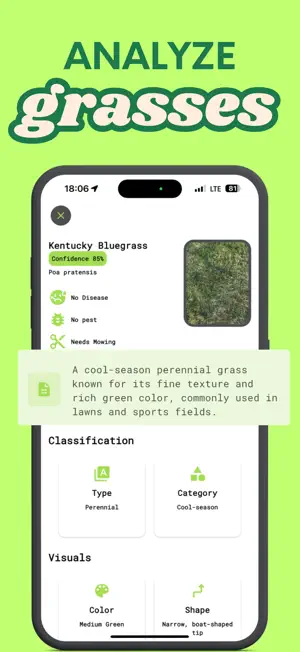 Grass identifier: Grasscan screenshot 3
