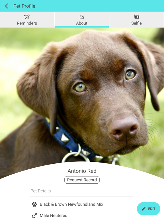 Pacific Animal Hospital MO iPad screenshot 3 - Business app