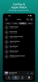 LudyAmp - Offline Music Player screenshot