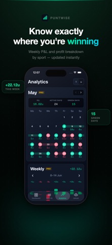 PuntWise screenshot