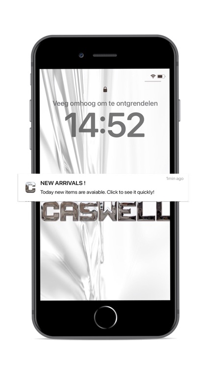 Caswell Inc screenshot-4