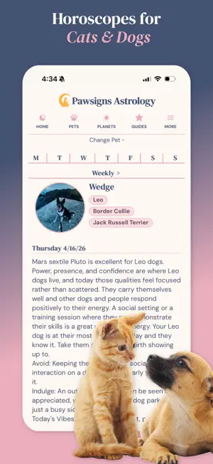 Pawsigns screenshot 2