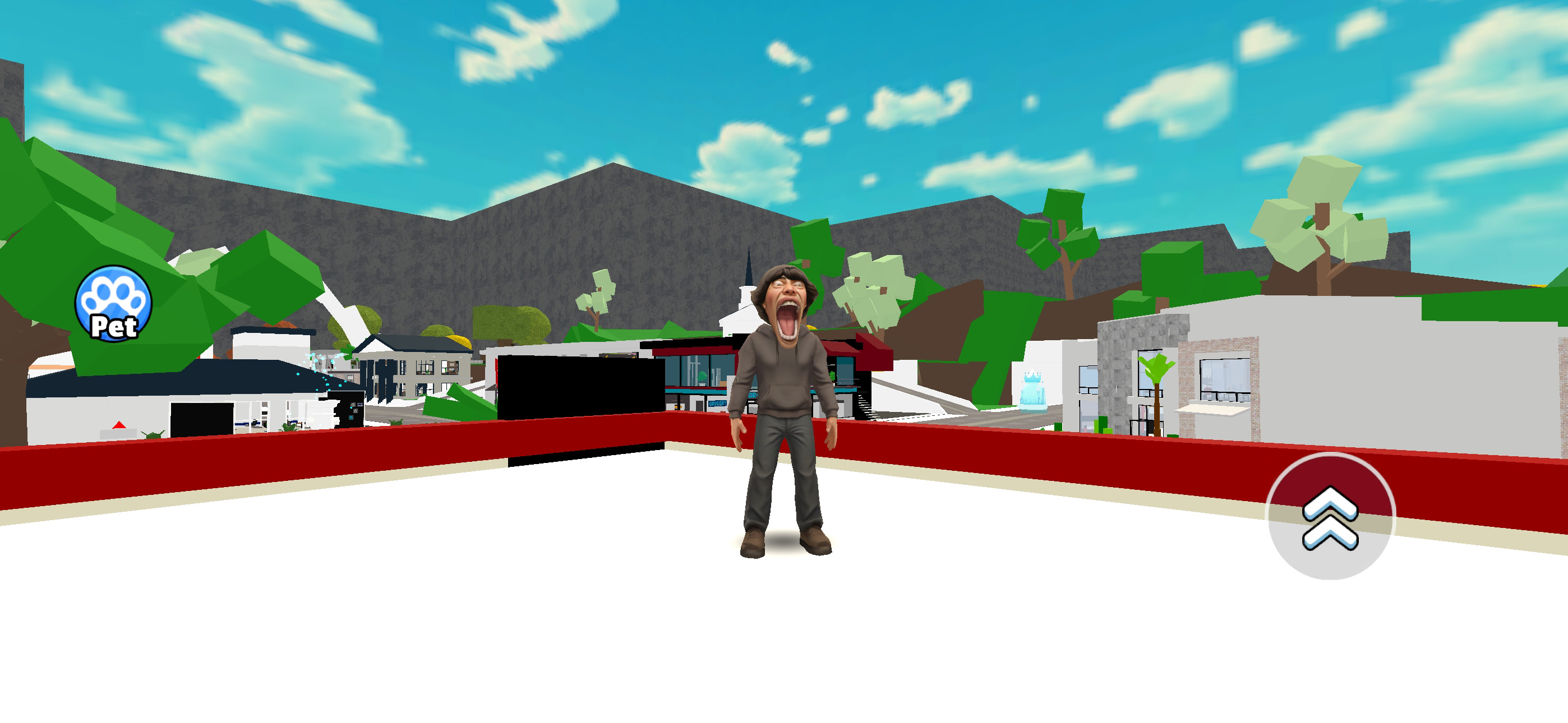 Brooktopia
