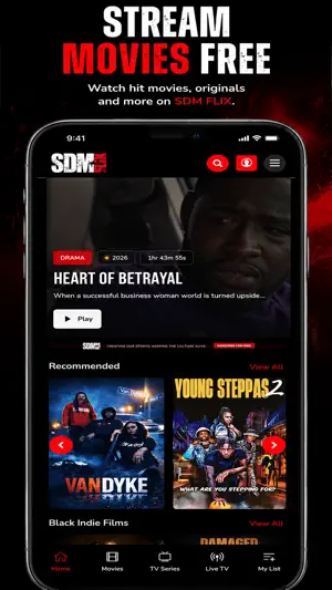 SDM FLIX screenshot 1