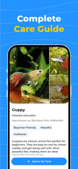 OkayFish - Pet Fish Care Guide iPhone Screenshot 4