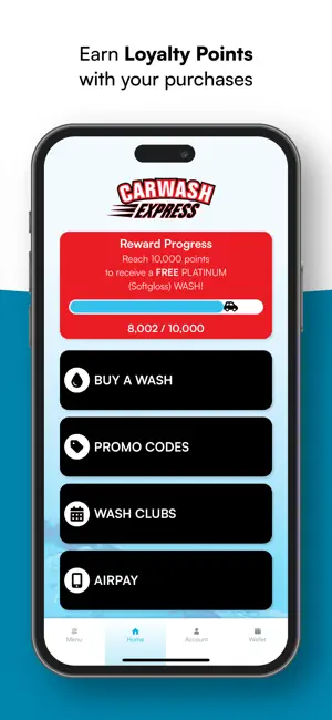 Carwash Express screenshot 1