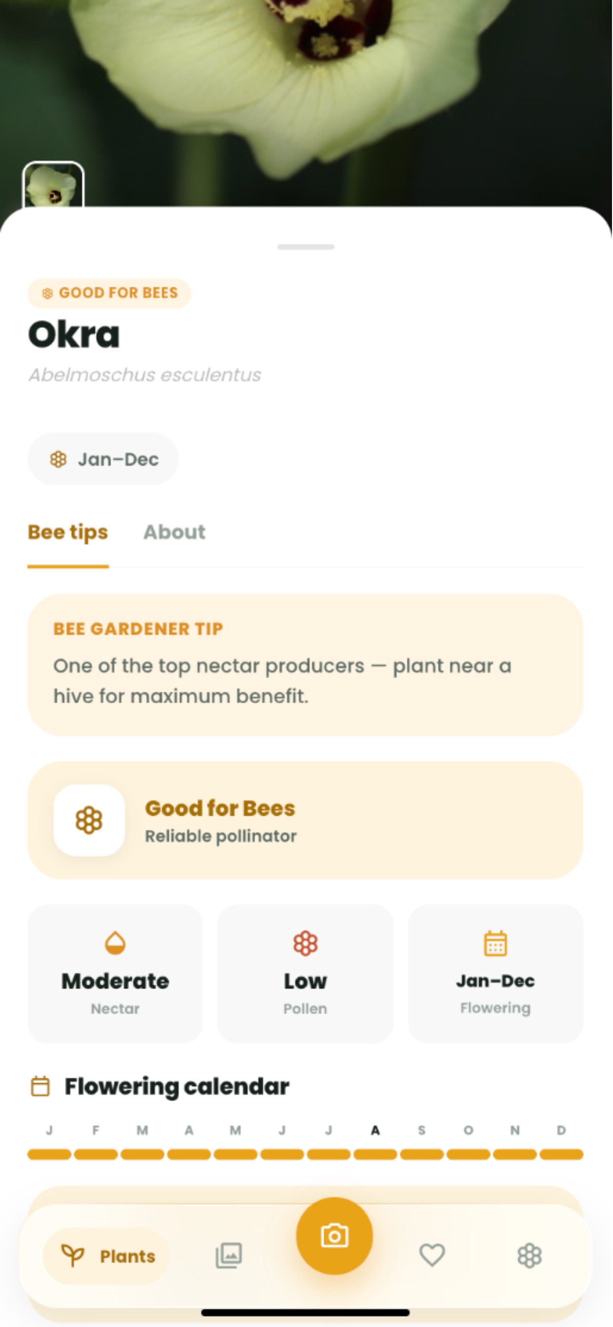 Screenshot 3 of BeeSanctuary