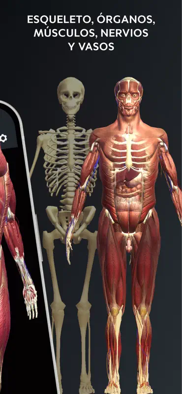 Atlas der Anatomie: Lernen 3D screenshot 2 of 6