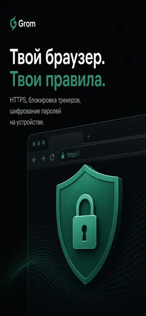 Grom Browser screenshot 2
