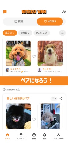 NITERUWAN（ニテルワン） screenshot
