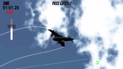 Canard Plane Race Screenshot
