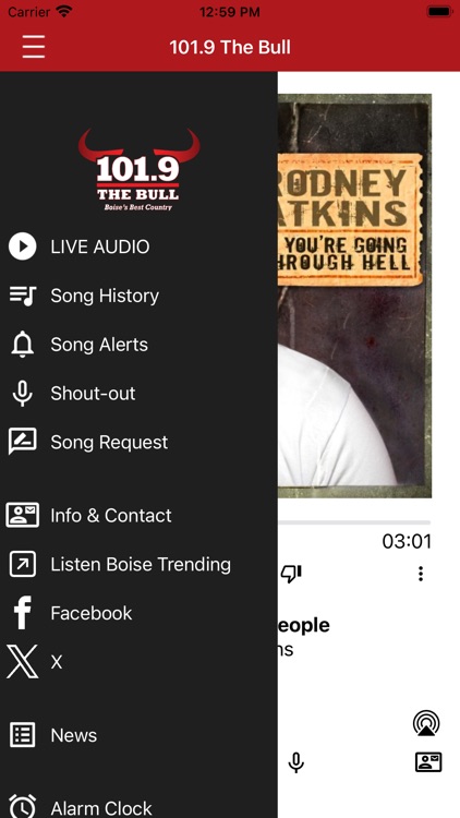 101.9 The Bull