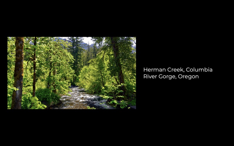 Webshots Desktop screenshot 2