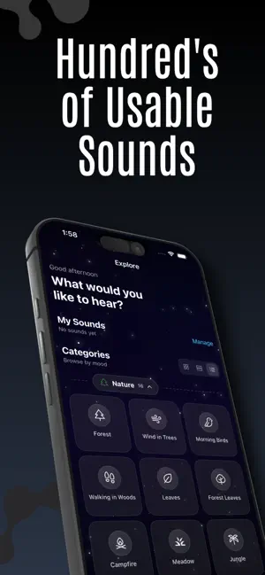 Ambient Audio screenshot 1