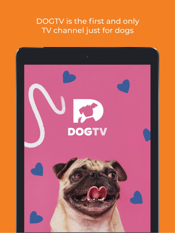 Screenshot #4 pour DOGTV