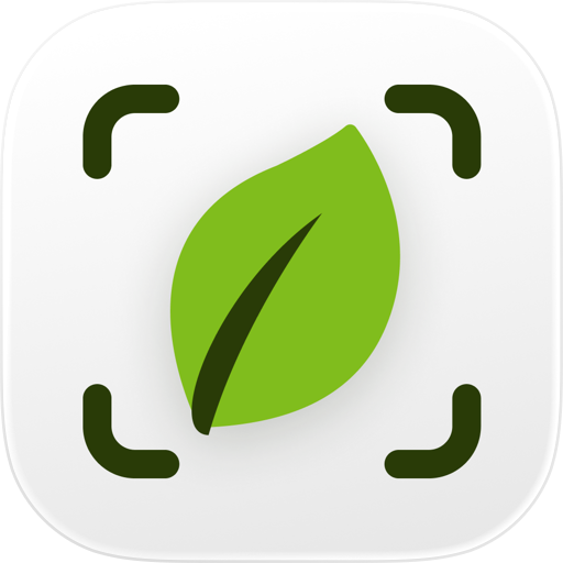 Plant Identifier & Care: Ficus
