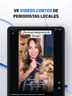 Telemundo Chicago: Noticias iPad image 1