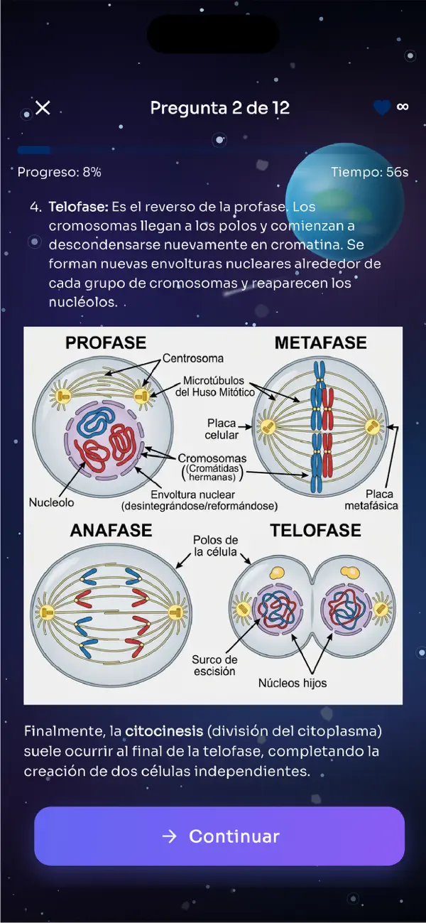 Screenshot #2 pour Formatom