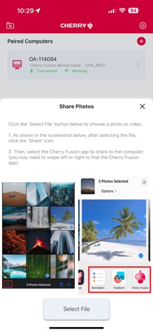 Cherry Fusion Screenshot 3 of 5