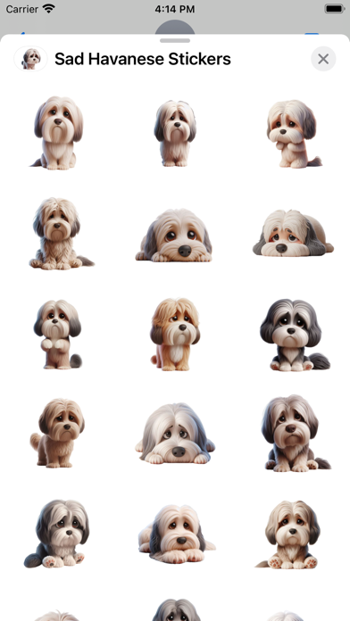Screenshot #1 pour Sad Havanese Stickers