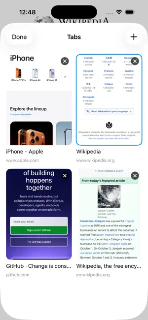 Pane Browser screenshot 4