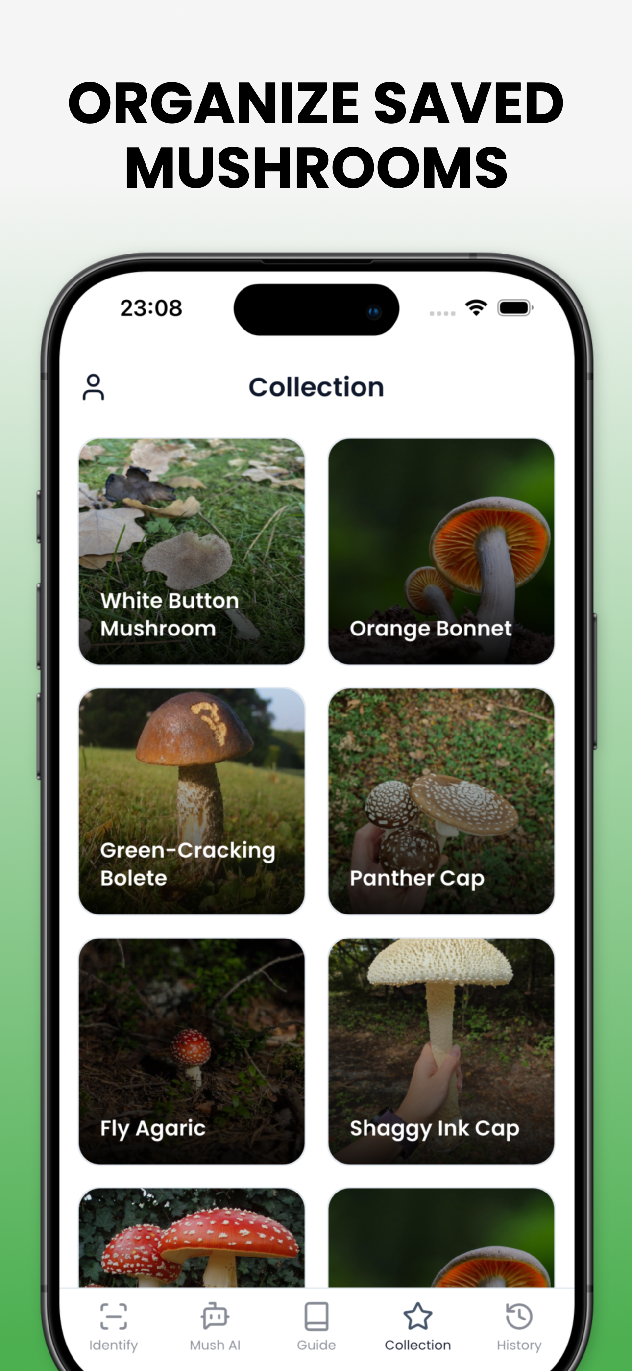 Mushroom Identifier - Mushby