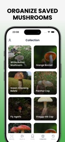 Mushroom Identifier - Mushby screenshot