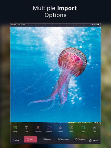 eZy Watermark Videos Classic iPad screenshot