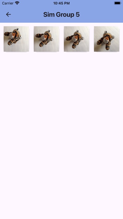 Similars in Photos screenshot-4