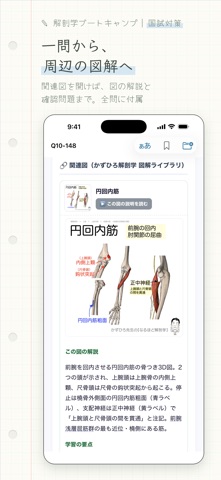 解剖学ブートキャンプ｜国試対策 のスクリーンショット