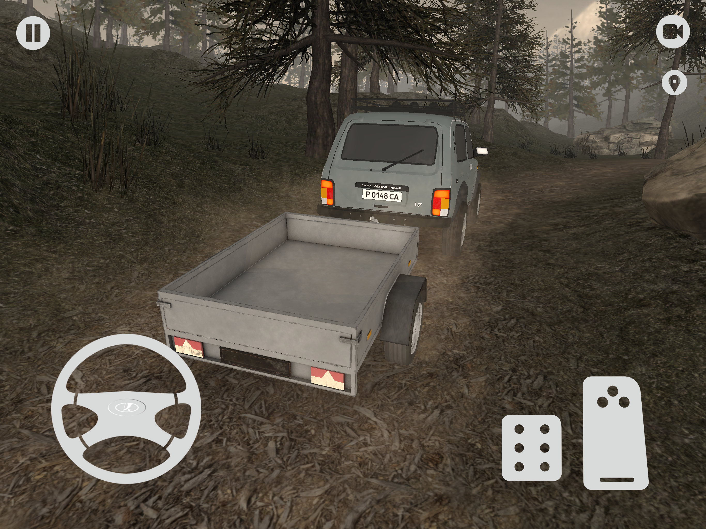 Forest Roads. Niva