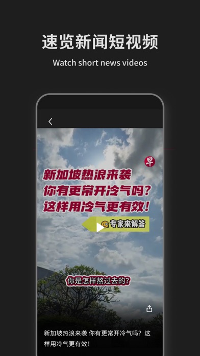 Lianhe Zaobao: News in Chinese Screenshot