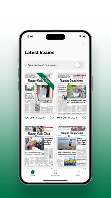 BDN e-edition Screenshot