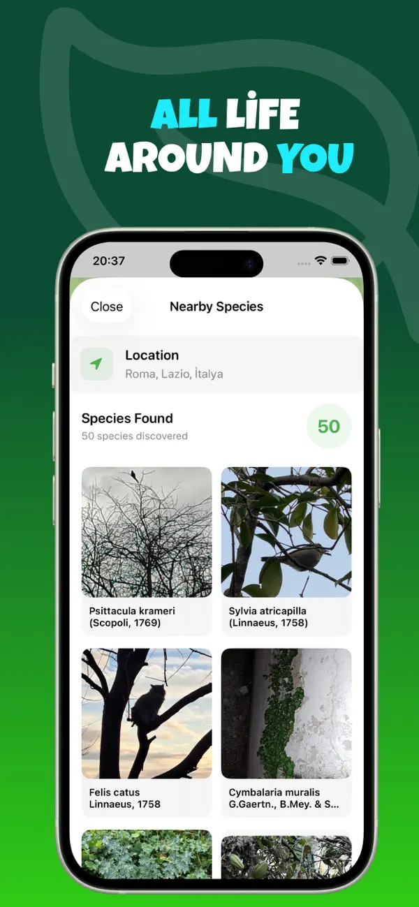#4. Nature : Scroll, Explore, Find (iOS) Ved: samet bilgin