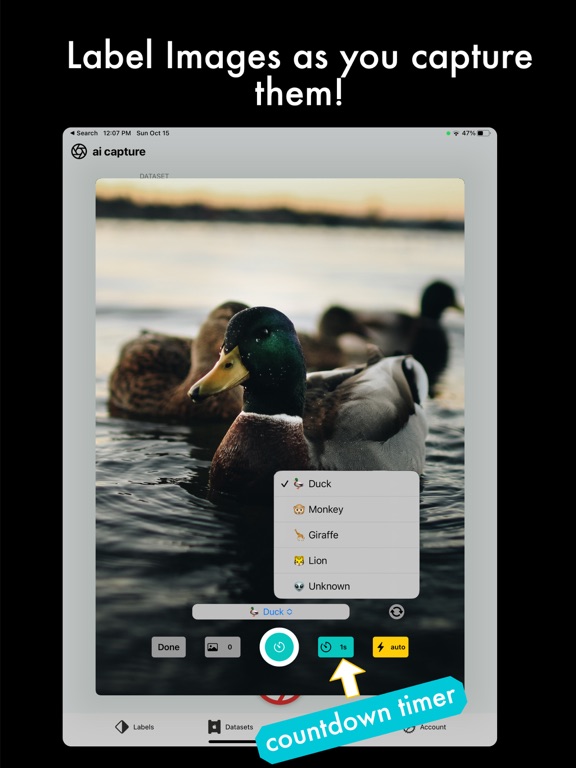 Screenshot #5 pour AI Capture: Create ML Datasets