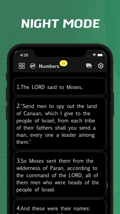 RSV Bible - offline Screenshot