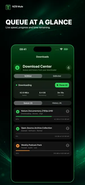 NZB-Mule screenshot 2