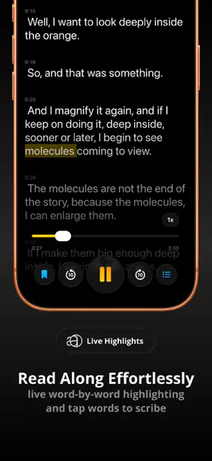 Transcribe Audio to Text: ADRS screenshot 2