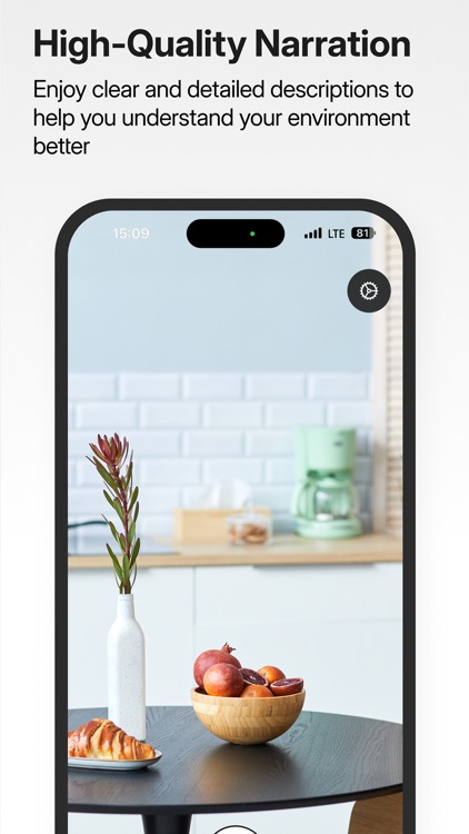 VoiceVision: Helping the Blind screenshot-3