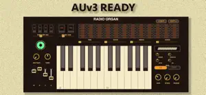 Radio Organ screenshot 3