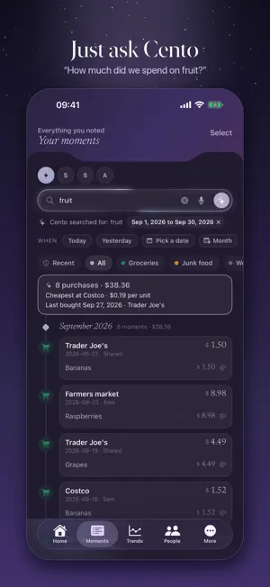 Cento - Daily Expenses AI screenshot 3