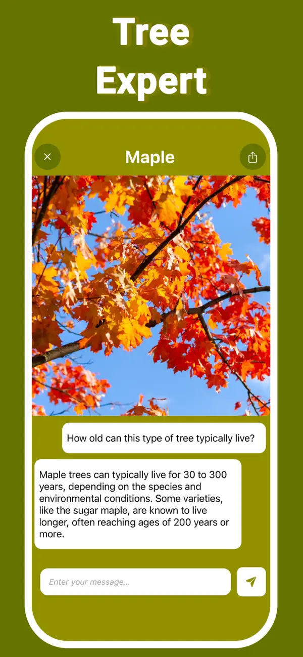 Treelogy screenshot 5