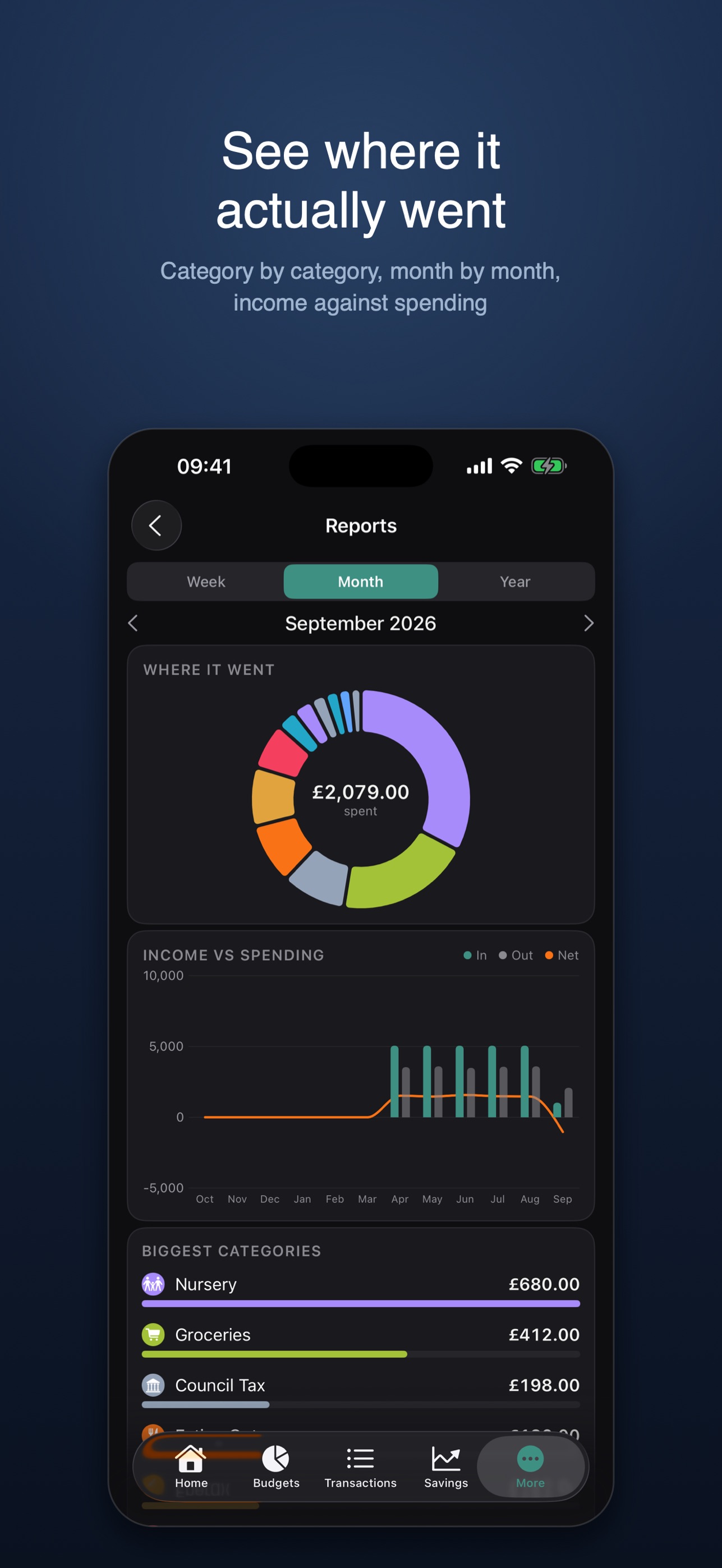Screenshot 7 of Budget Pro Premium
