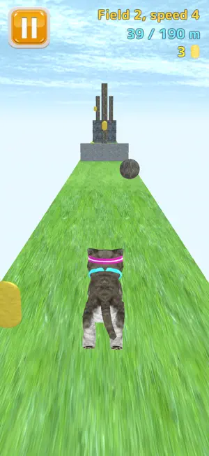 Cat Run - kitten running game screenshot 2