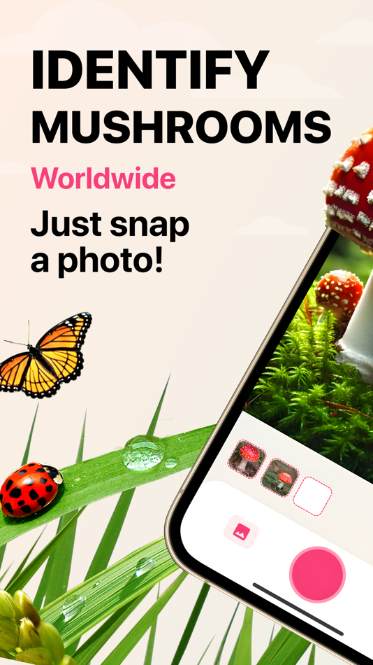 #1. Mushroom Identifier: ID (AI) (iOS) 由: Futsum Semhar