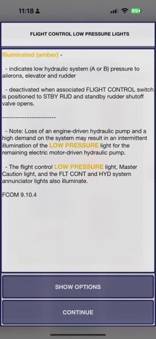 737 Virtual Panel screenshot